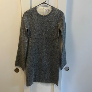 Good American Metallic Dress.